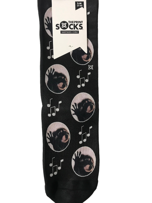 Calcetines Mapache (Pedro pedro pedro)