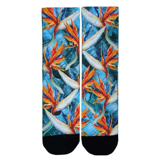 Calcetines Ave del Paraíso