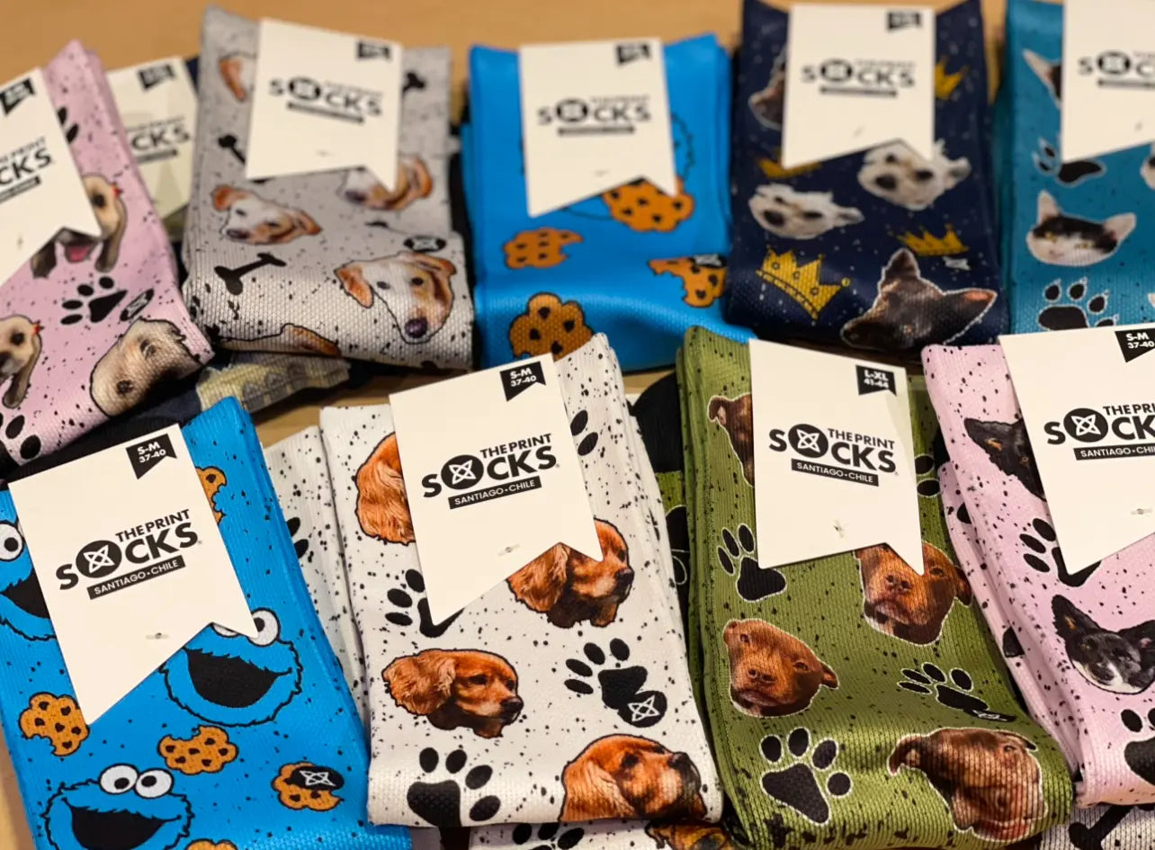 TODOS LOS DISEÑOS!!!